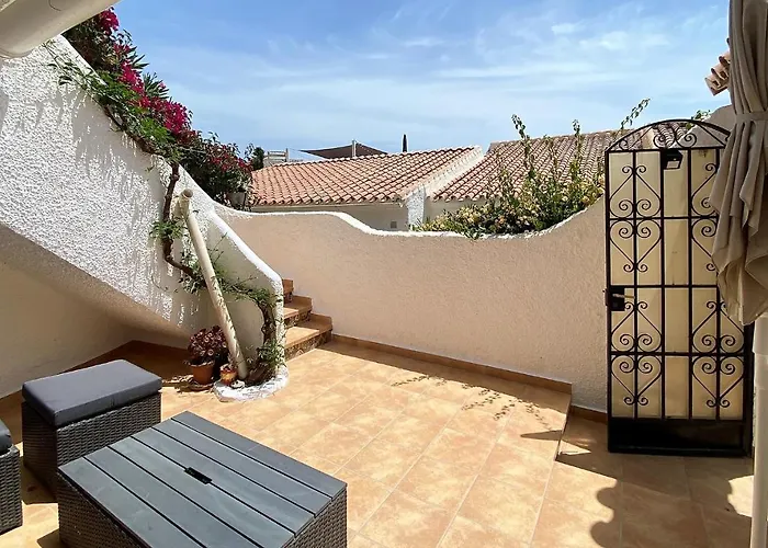 Hibiscus 7 San Juan De Capistrano