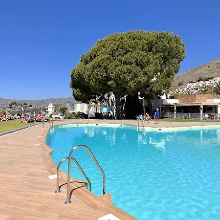 Hibiscus 7 San Juan De Capistrano