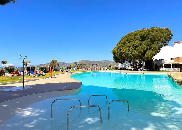 Hibiscus 7 San Juan De Capistrano * ネルハ